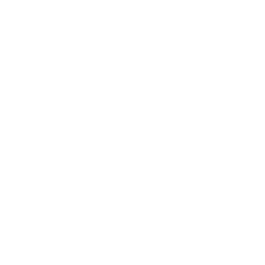 logo light
